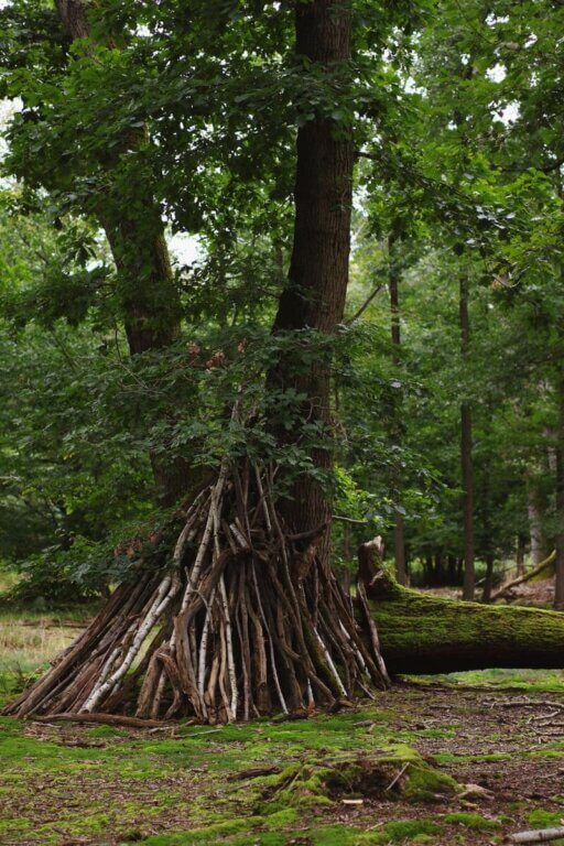 A rustic shelter made of branches in a forest